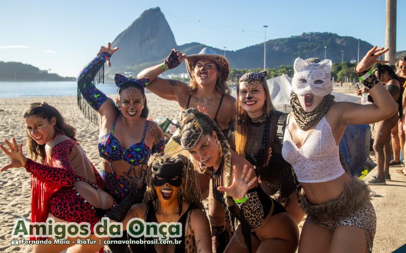 Bloco Amigos da Onça no Carnaval de Rua 2025 do Rio de Janeiro