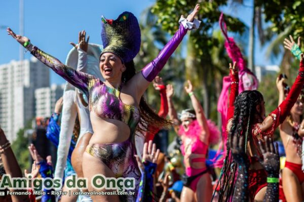 Bloco Amigos da Onça no Carnaval de Rua 2025 do Rio de Janeiro