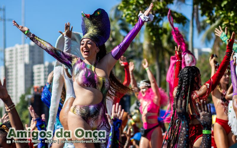 Bloco Amigos da Onça no Carnaval de Rua 2025 do Rio de Janeiro