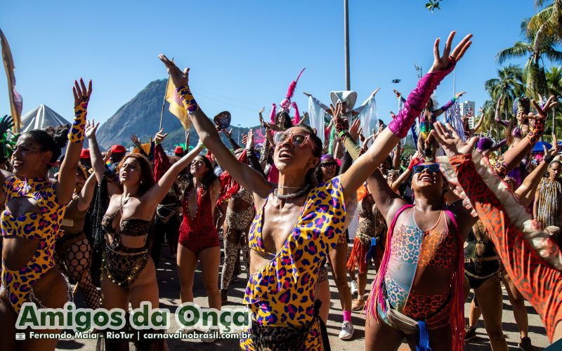 Bloco Amigos da Onça no Carnaval de Rua 2025 do Rio de Janeiro