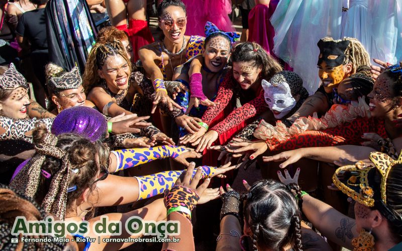 Bloco Amigos da Onça no Carnaval de Rua 2025 do Rio de Janeiro