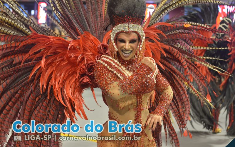 Desfile da Colorado do Brás no Carnaval 2025 de São Paulo