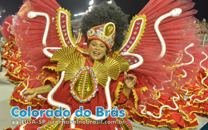 Desfile da Colorado do Brás no Carnaval 2025 de São Paulo