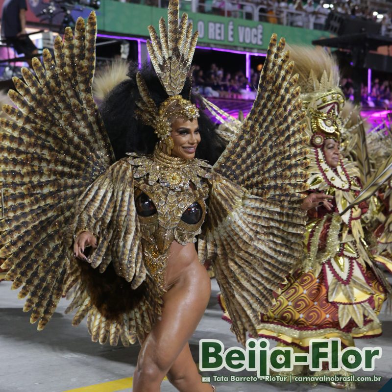 Desfile Beija-Flor no Carnaval 2025 do Rio de Janeiro - carnavalnobrasil.com.br