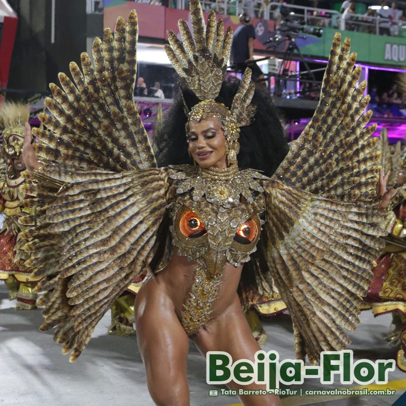 Desfile Beija-Flor no Carnaval 2025 do Rio de Janeiro - carnavalnobrasil.com.br