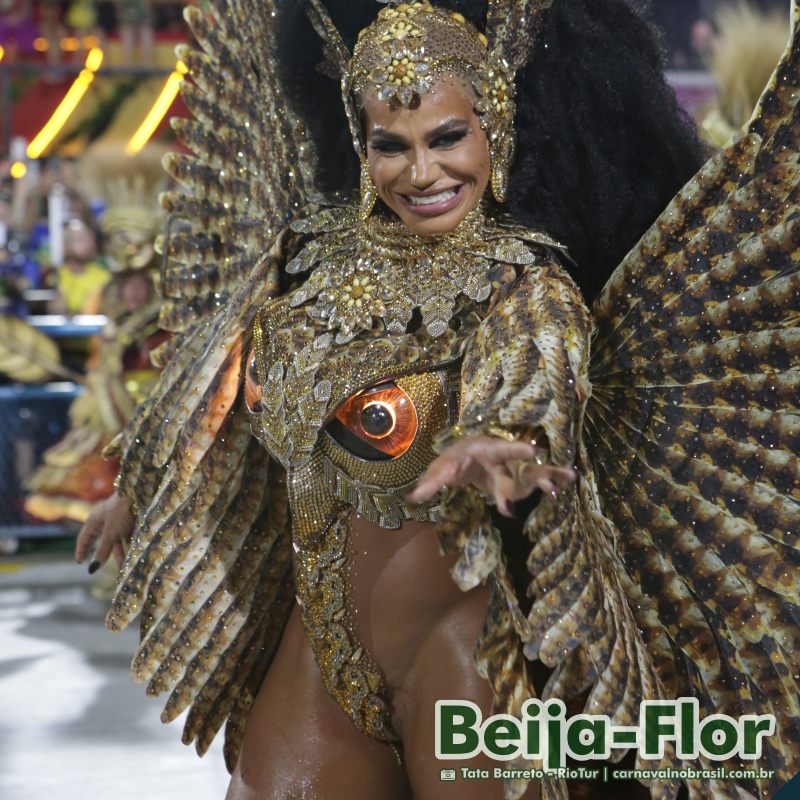 Desfile Beija-Flor no Carnaval 2025 do Rio de Janeiro - carnavalnobrasil.com.br