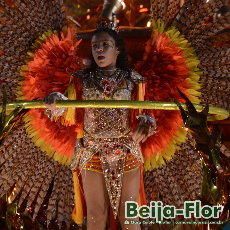 Desfile Beija-Flor no Carnaval 2025 do Rio de Janeiro - carnavalnobrasil.com.br