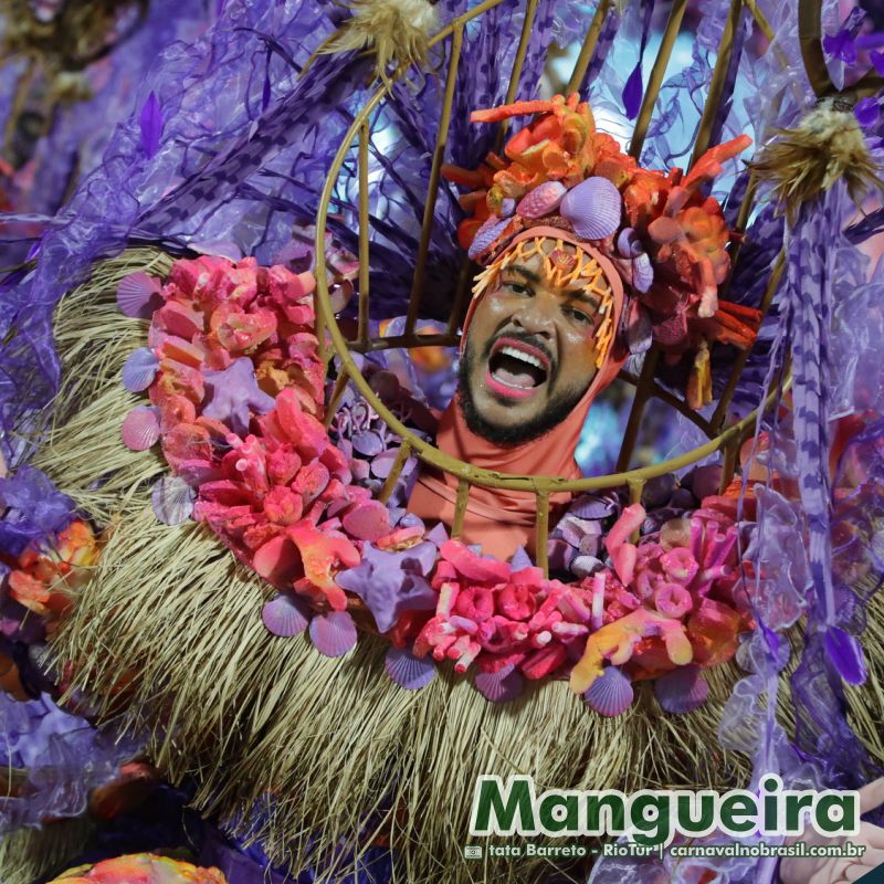 Desfile Mangueira no Carnaval 2025 do Rio de Janeiro - carnavalnobrasil.com.br