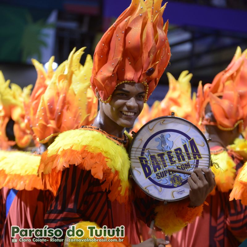 Desfile Paraíso do Tuiuti no Carnaval 2025 do Rio de Janeiro