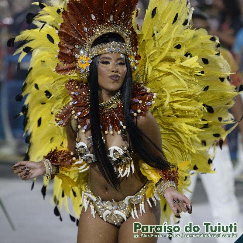 Desfile Paraíso do Tuiuti no Carnaval 2025 do Rio de Janeiro