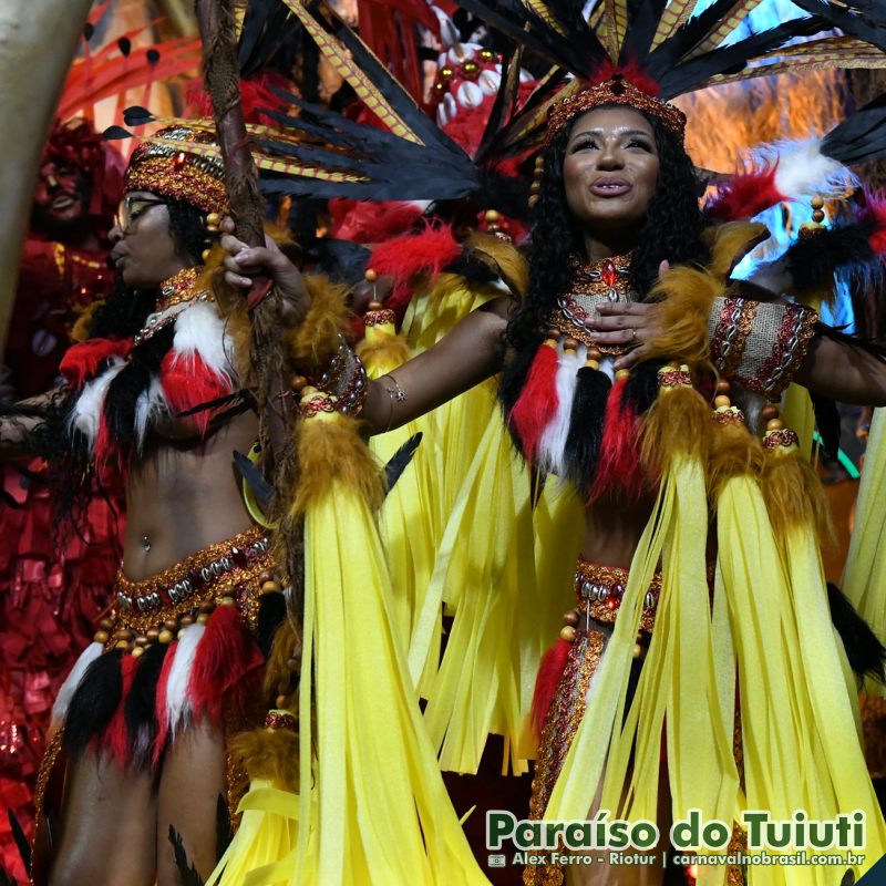 Desfile Paraíso do Tuiuti no Carnaval 2025 do Rio de Janeiro