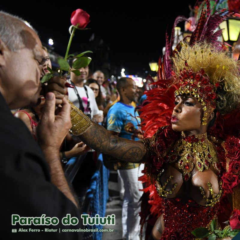 Desfile Paraíso do Tuiuti no Carnaval 2025 do Rio de Janeiro