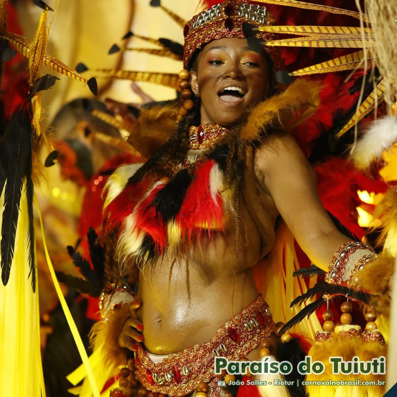 Desfile Paraíso do Tuiuti no Carnaval 2025 do Rio de Janeiro