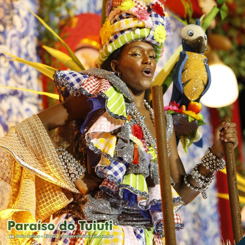 Desfile Paraíso do Tuiuti no Carnaval 2025 do Rio de Janeiro