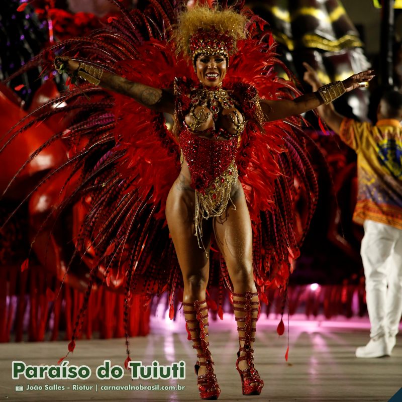 Desfile Paraíso do Tuiuti no Carnaval 2025 do Rio de Janeiro