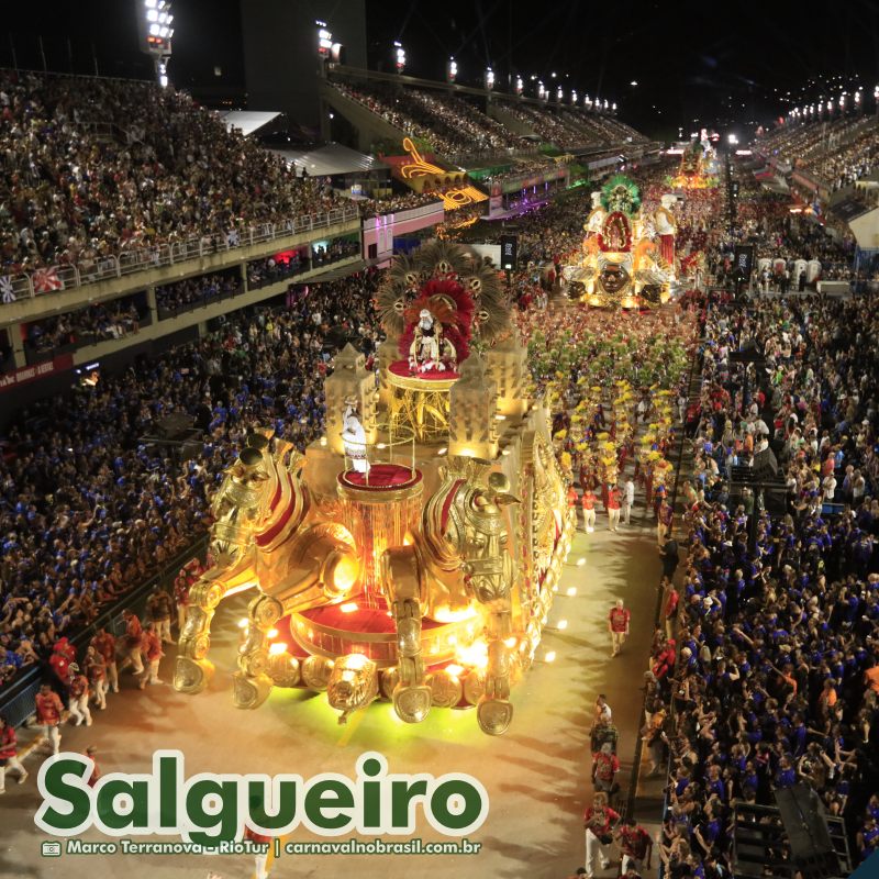 Desfile Acadêmicos do Salgueiro no Carnaval 2025 do Rio de Janeiro