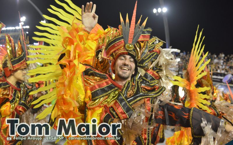 Desfile Tom Maior no Carnaval 2025 de São Paulo