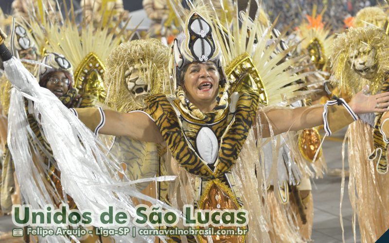 Desfile Unidos de São Lucas no Carnaval 2025 de São Paulo