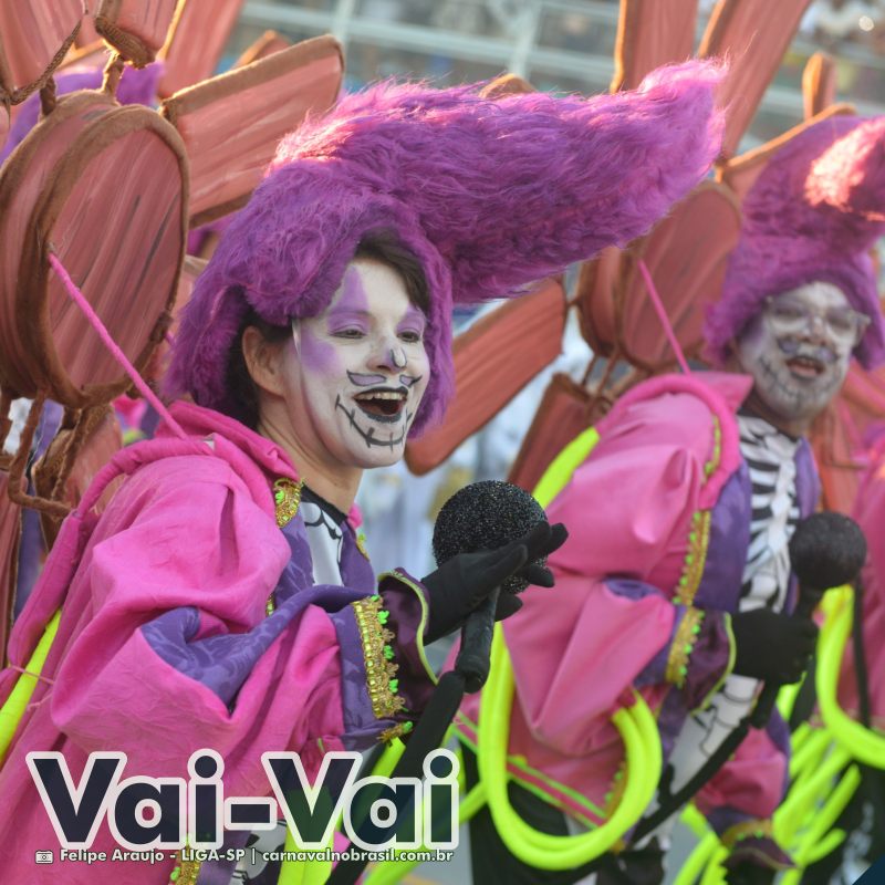 Desfile Vai-Vai no Carnaval 2025 de São Paulo - carnavalnobrasil.com.br