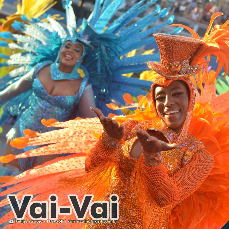 Desfile Vai-Vai no Carnaval 2025 de São Paulo - carnavalnobrasil.com.br