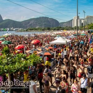 Fotos bloco Amigos da Onça no Carnaval de Rua 2026 do Rio de Janeiro