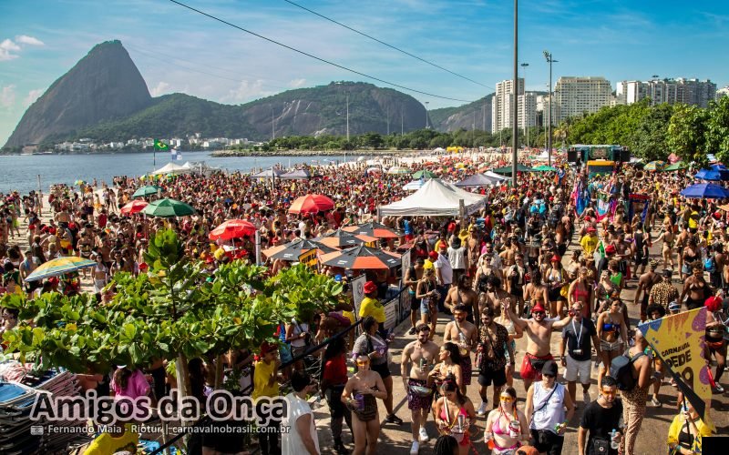 Fotos bloco Amigos da Onça no Carnaval de Rua 2026 do Rio de Janeiro